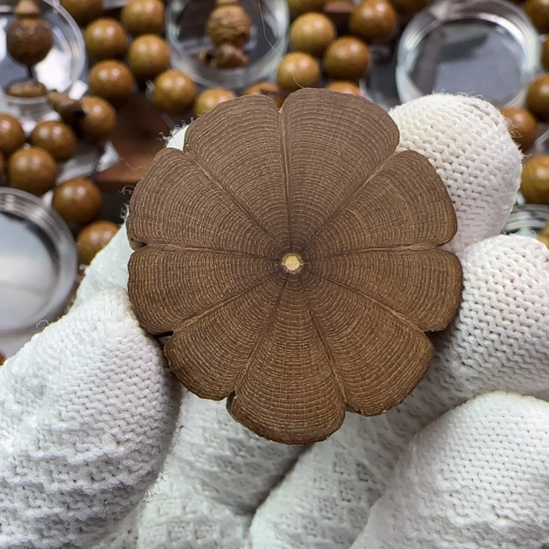 ****大叶紫檀（黑酸枝木类）五台山九道木