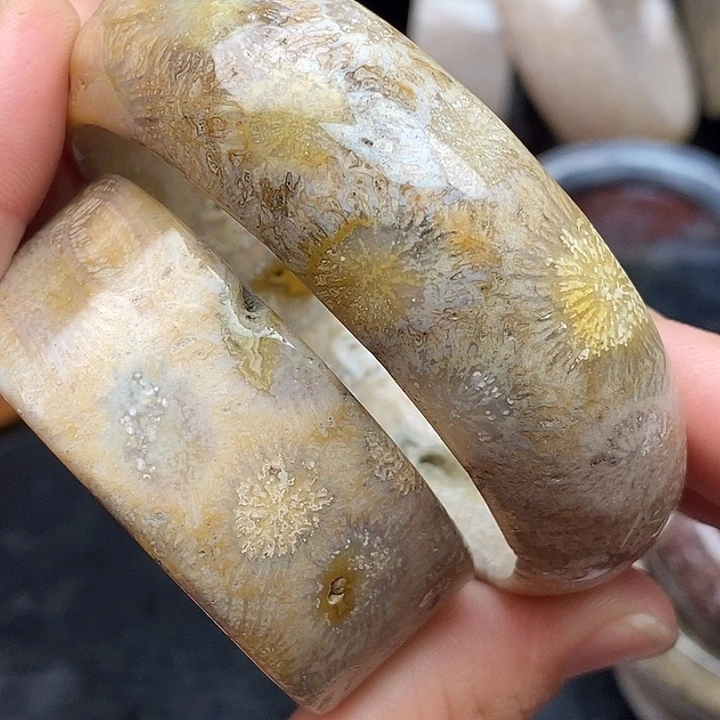 硅化玉未镶嵌颈饰57.5