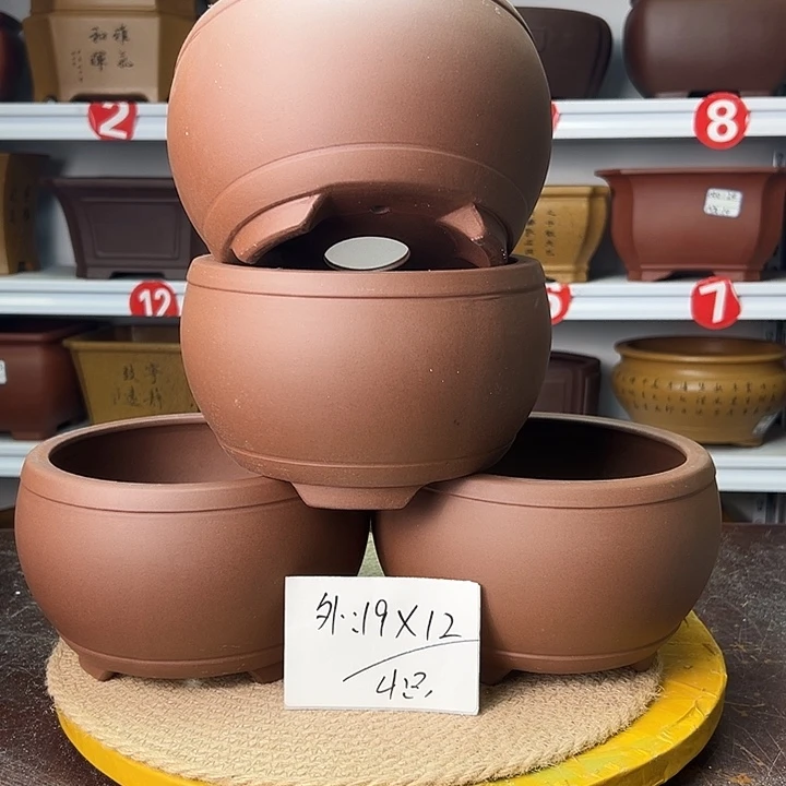 花盆紫砂我也好想