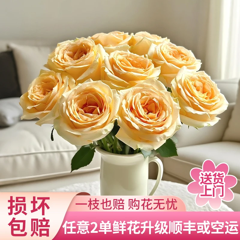 【黄梦宇】蜜桃雪山单头玫瑰全场鲜花任意满两单及以上包邮送货上门