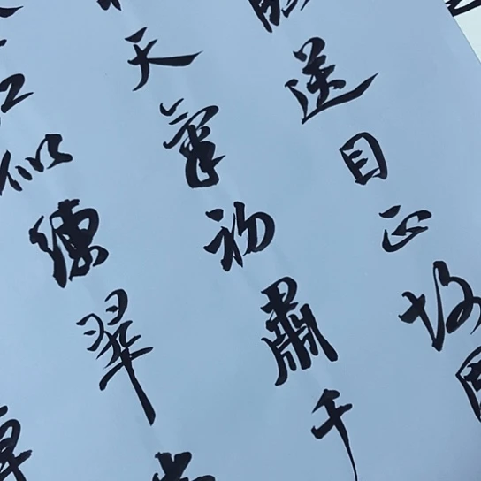 书法张建东老师书法作品