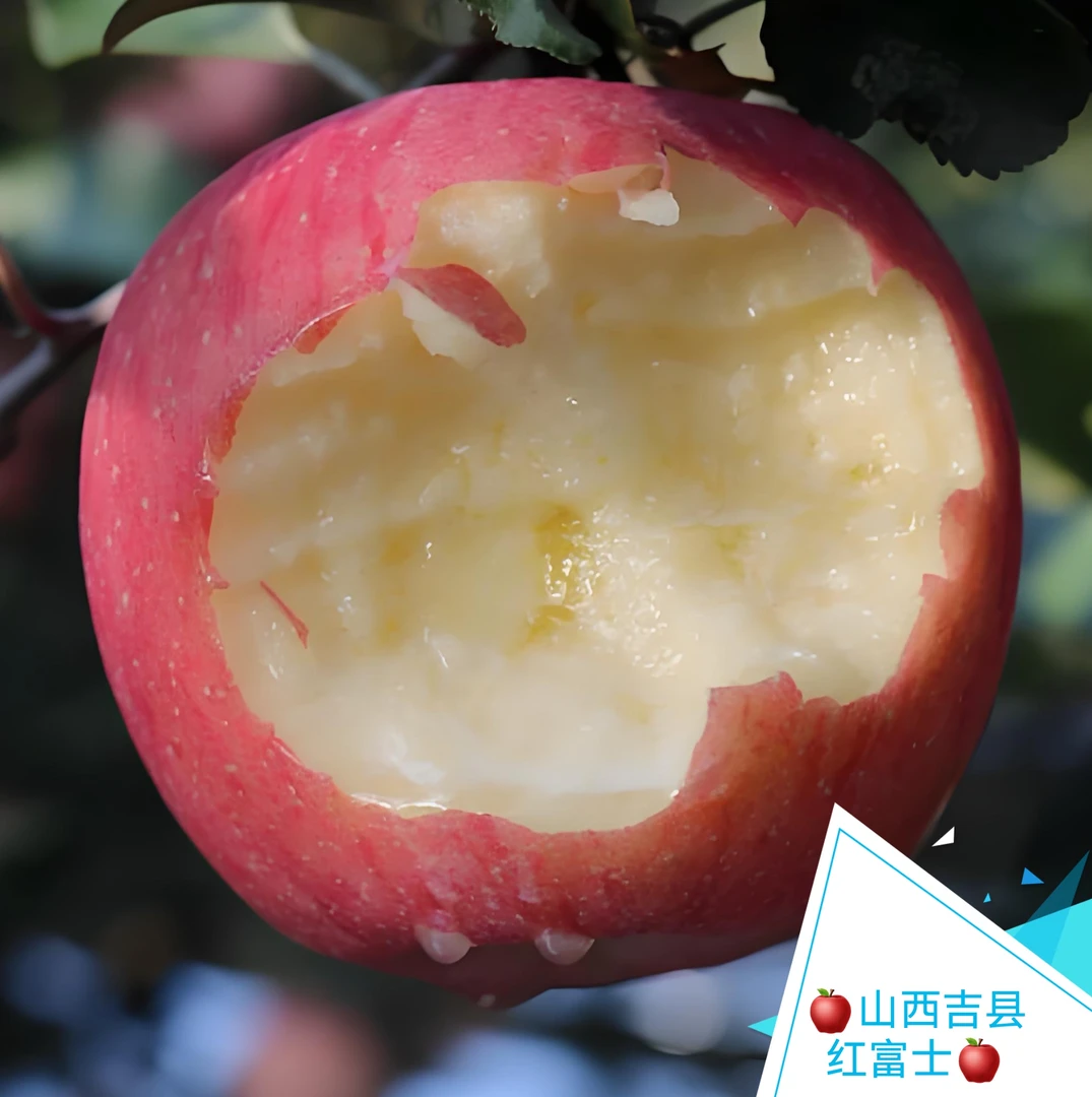 顺丰/山西吉县苹果红富士苹果脆甜糖心新鲜水果北方产地新鲜苹果