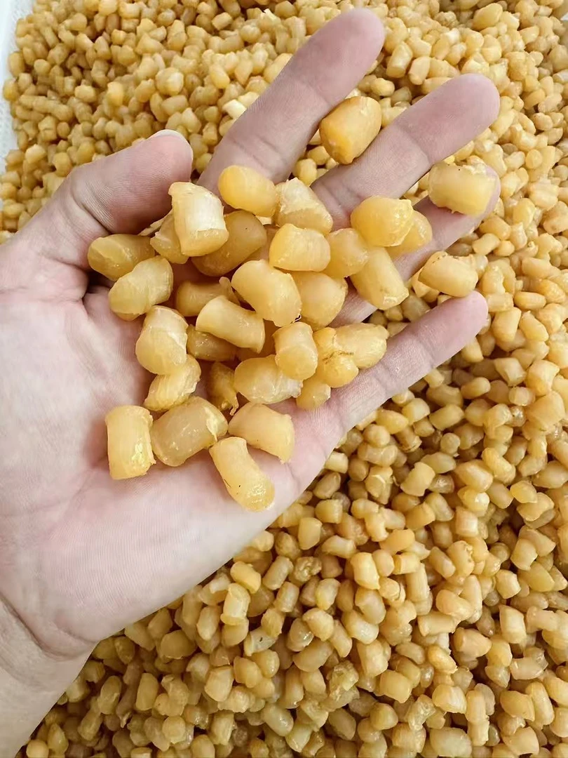 大 鲜瑶柱干贝  人工晾晒 深海大扇贝 煲汤煮粥蒸水蛋新鲜营养