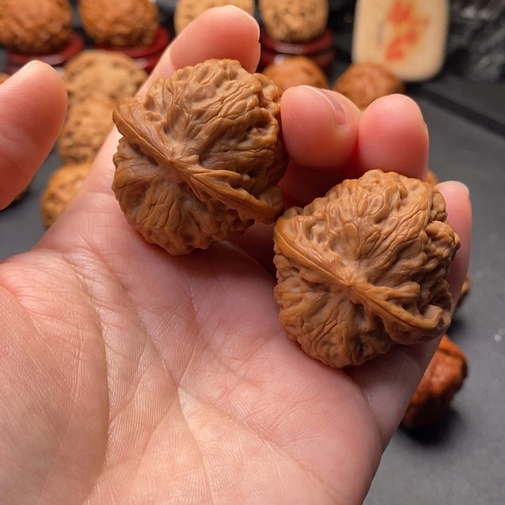 文玩核桃把件40尺如意原树野核