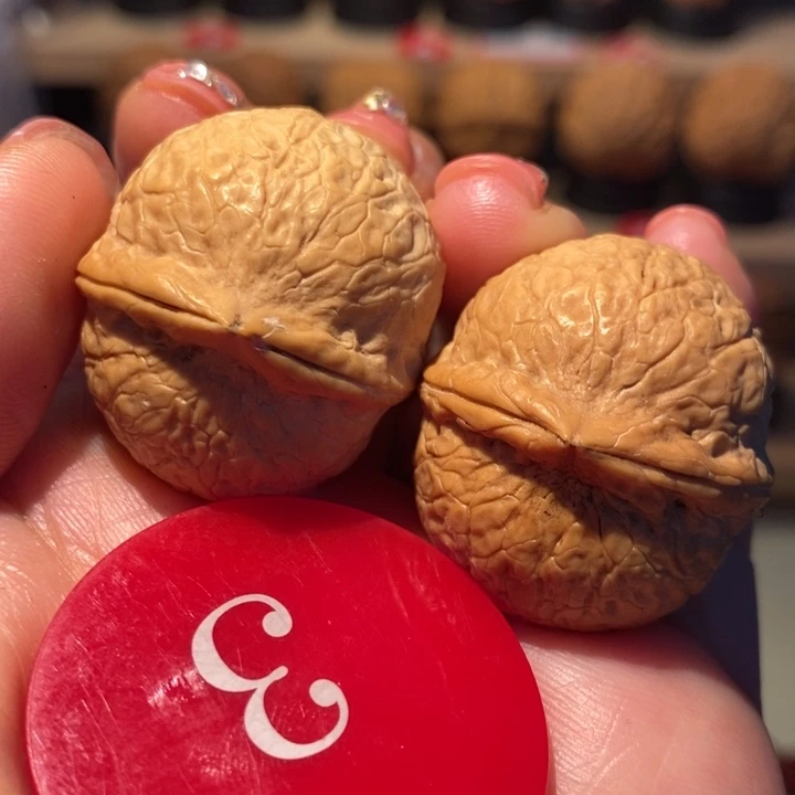 铁核桃小龙珠31尺寸