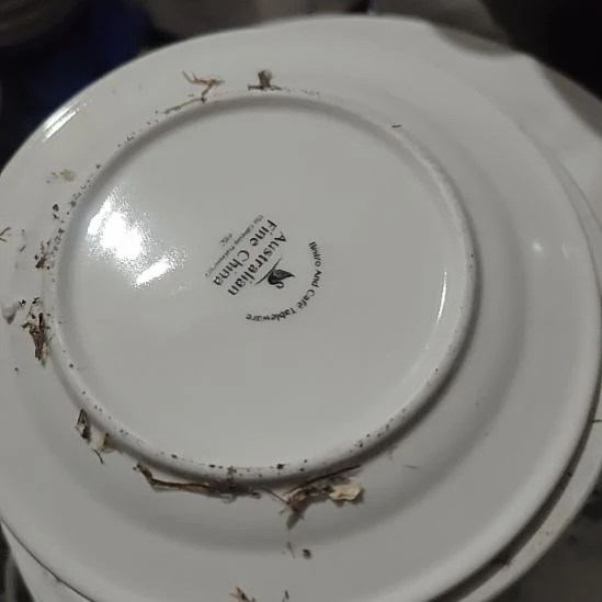 瓷发十个料碟子，口径16