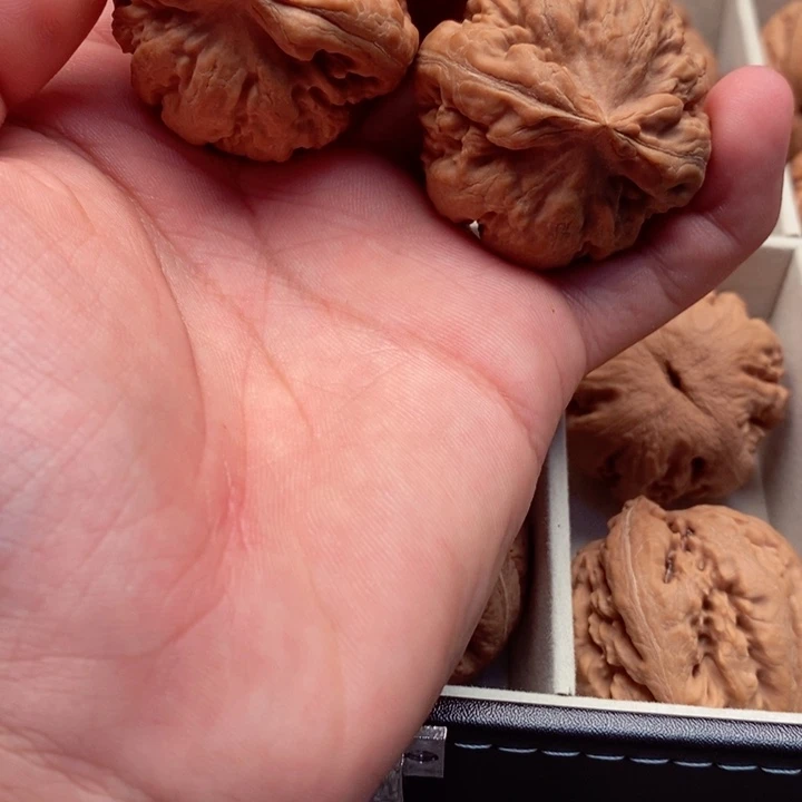 九***月文玩核桃吊坠霸王龙