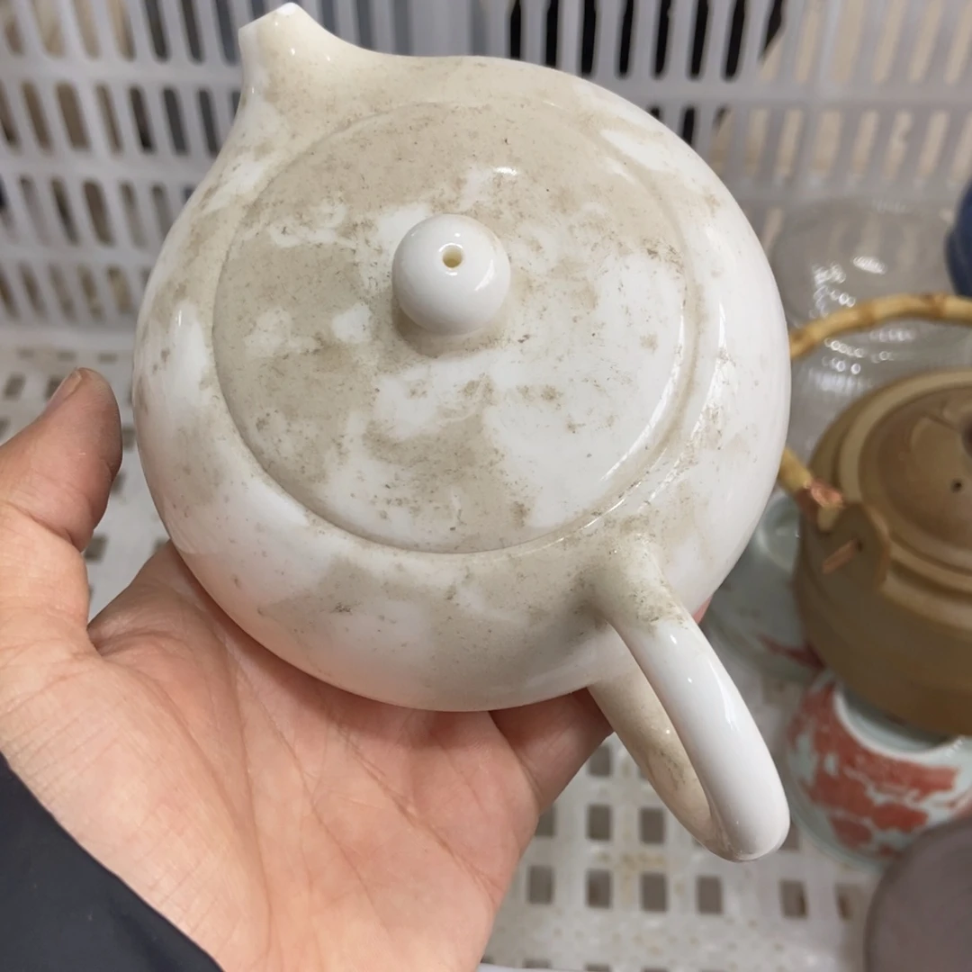 杯直播链接直播链接