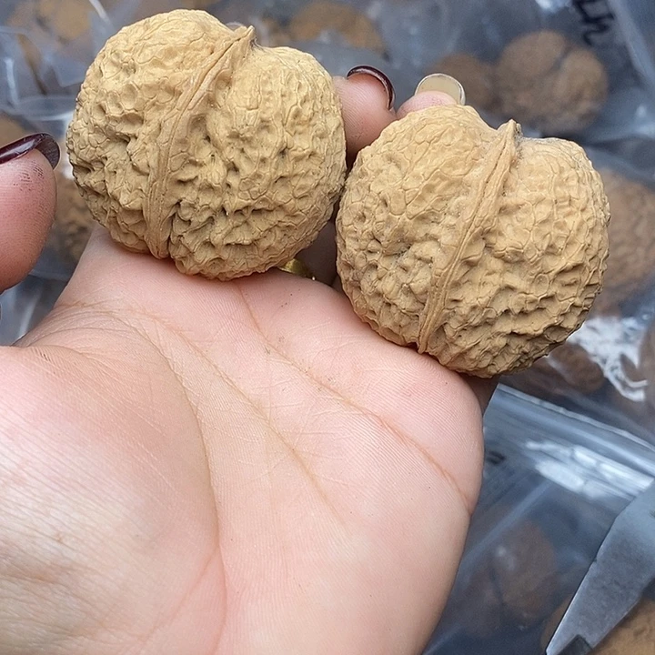 文玩核桃把件81号46mm