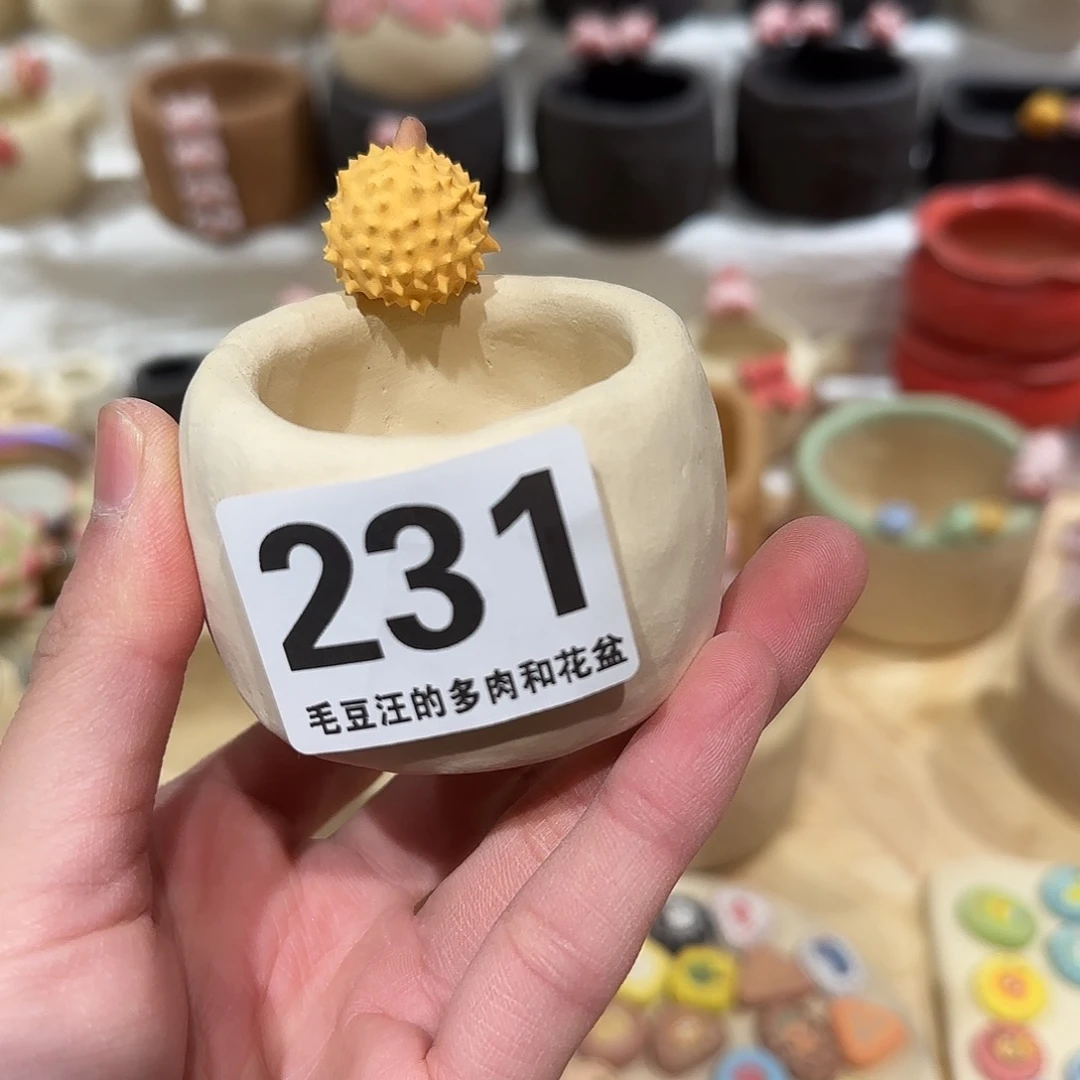 祝***余231 口4.5 福利特惠 花盆