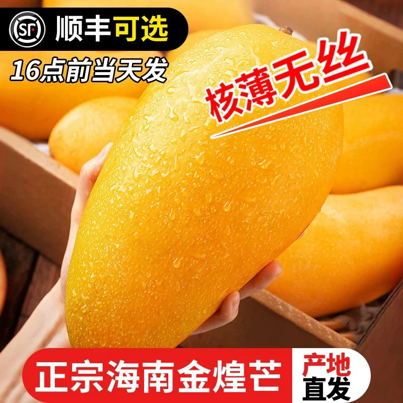 海南三亚金煌芒芒果一级大果新鲜水果现摘当季水仙芒整箱顺丰包邮