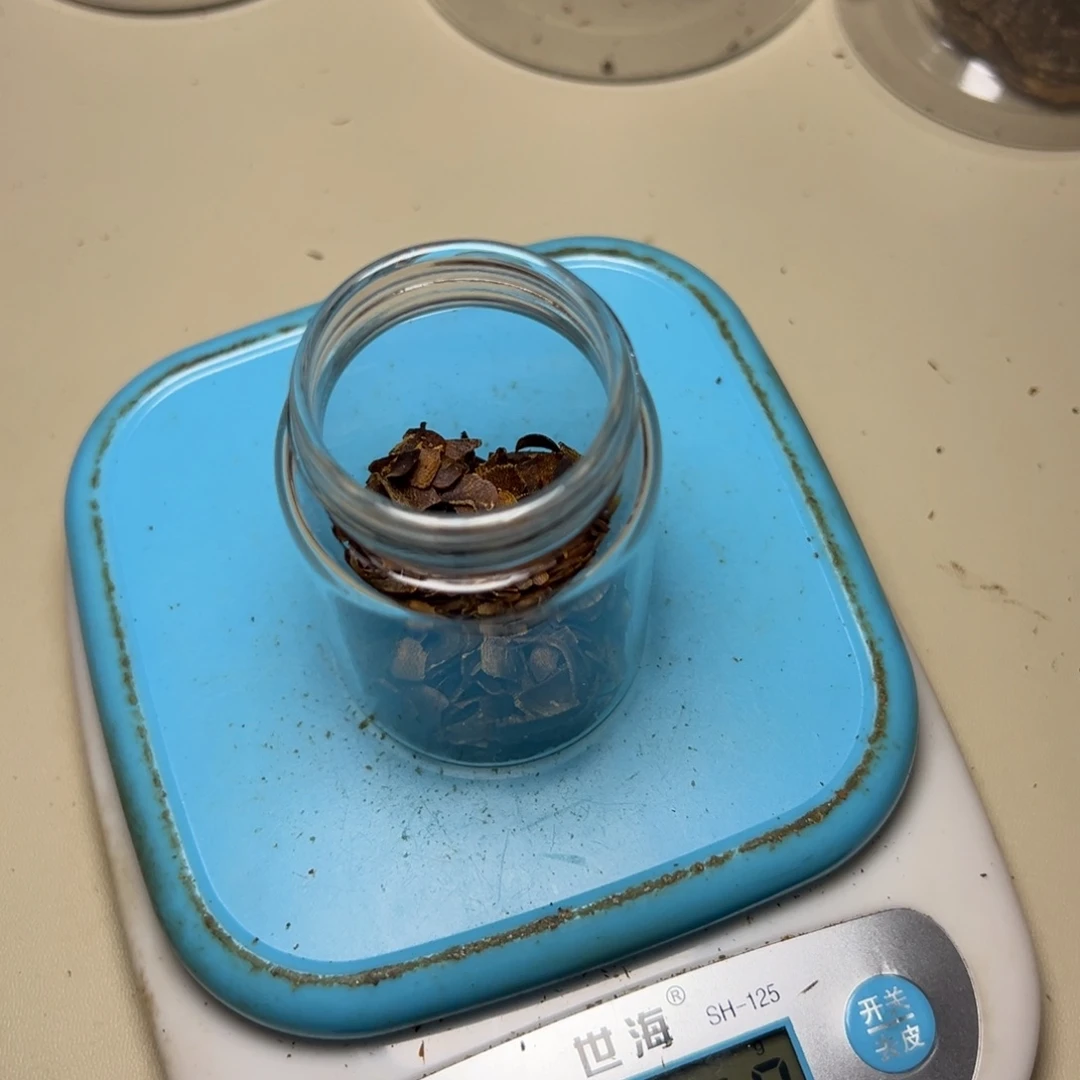 树脂制品亖*杠海南红棋5克