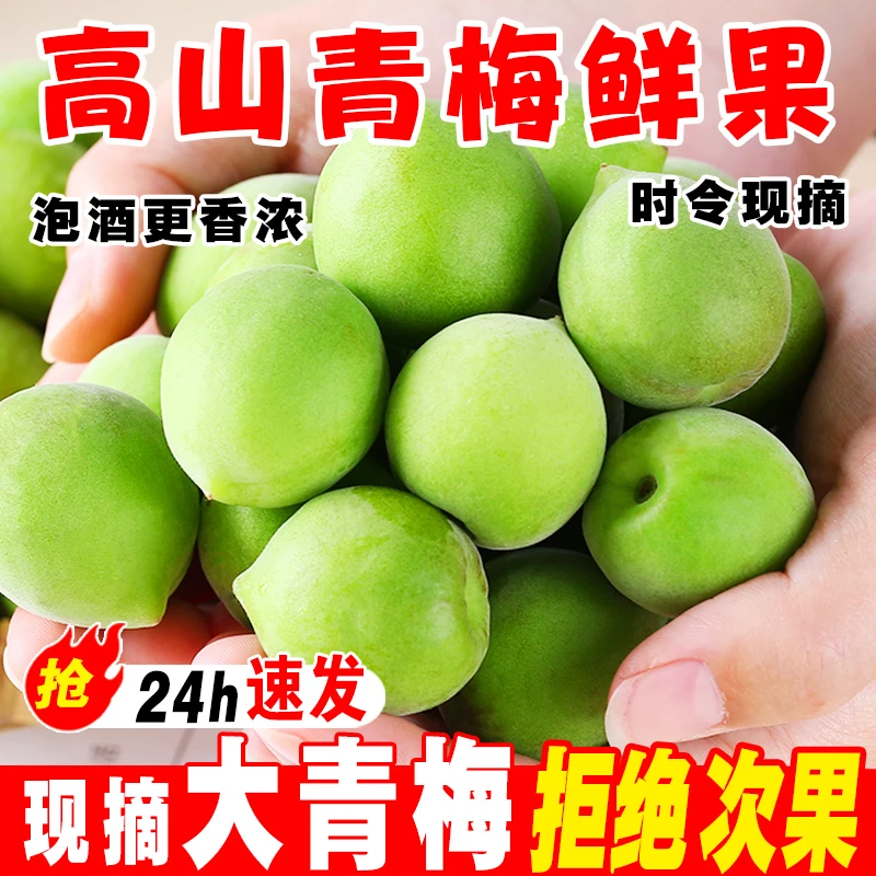 新鲜云南大理高山青梅果现摘生脆酸梅可泡酒可腌制