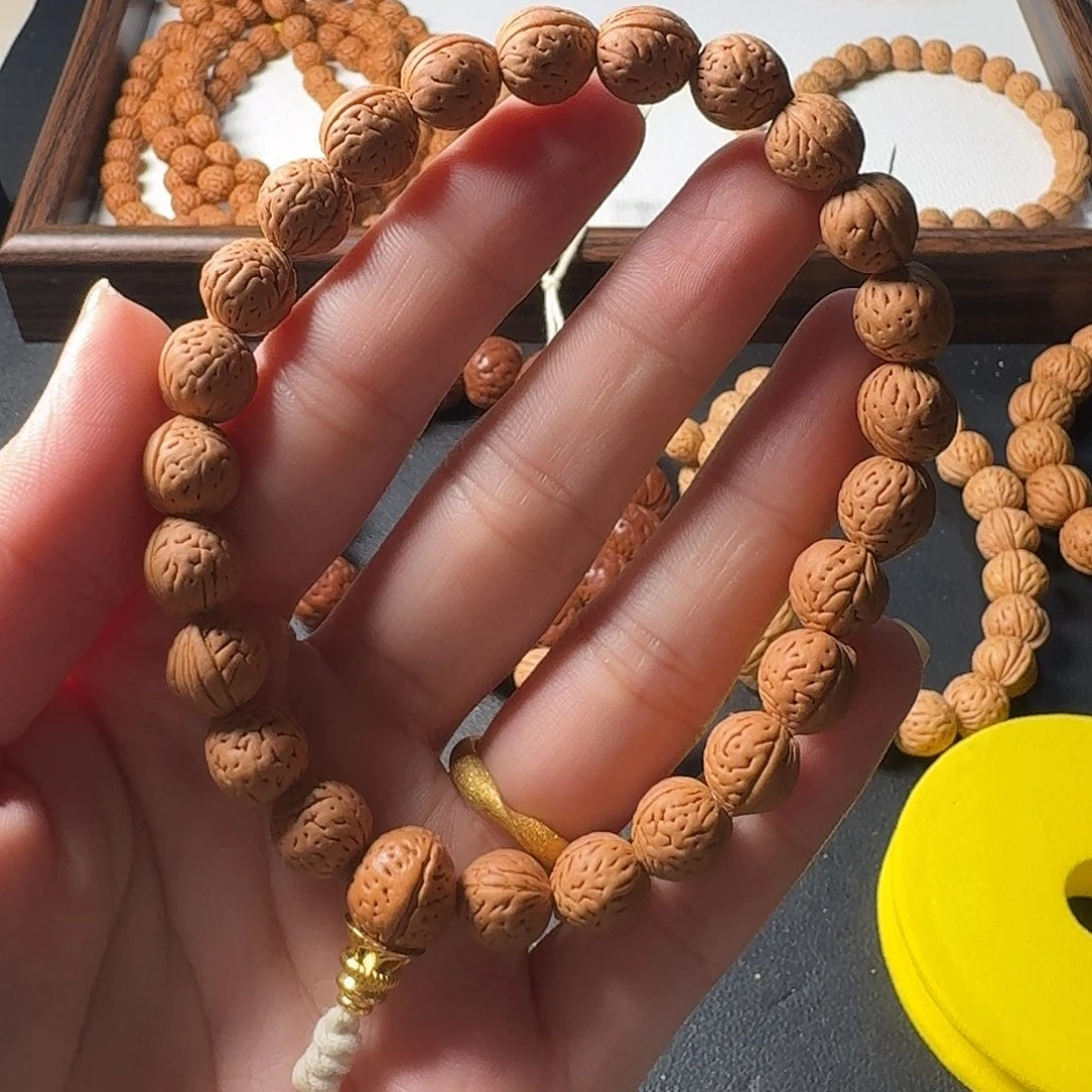 养***子恭喜发财恭喜发财