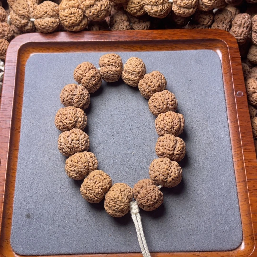 菩提籽类2号金刚菩提蜂王22