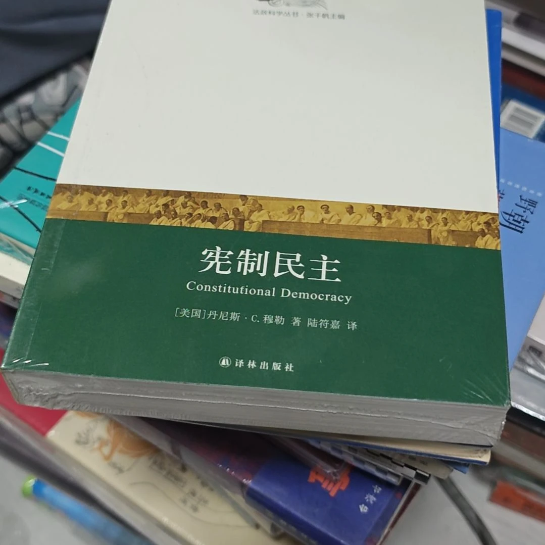 宪制民主平装库存书