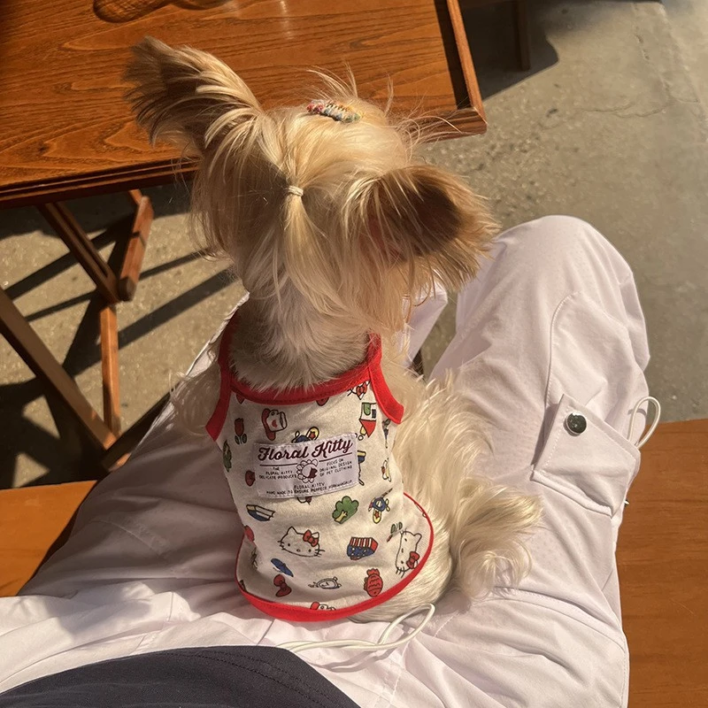 【卡码拍小】夏天宠物衣服小狗狗背心小型犬背心吊带薄款透气ins