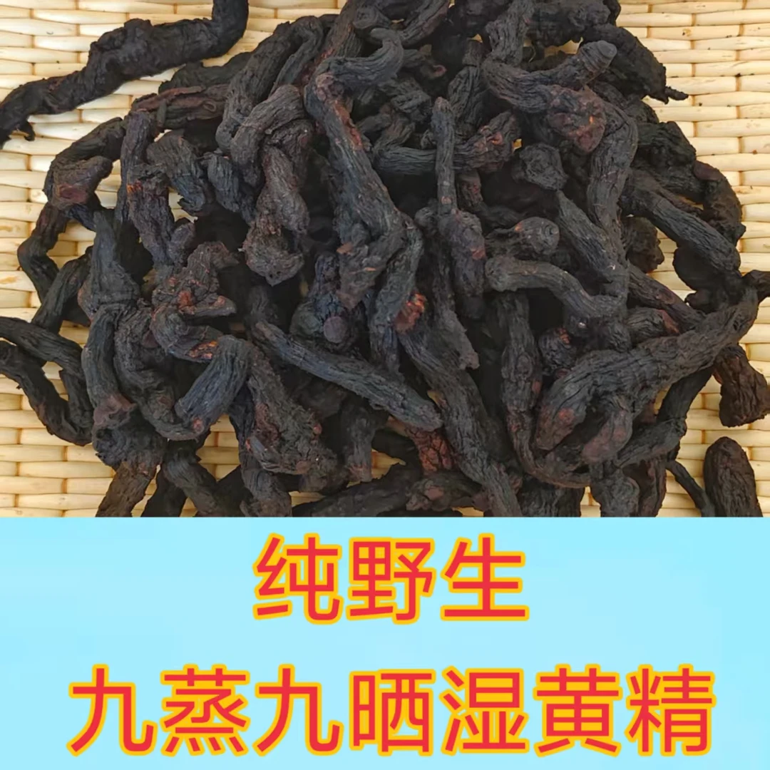 燕山山脉纯野生鸡头黄精九蒸九晒试吃（九蒸九晒)假一赔百