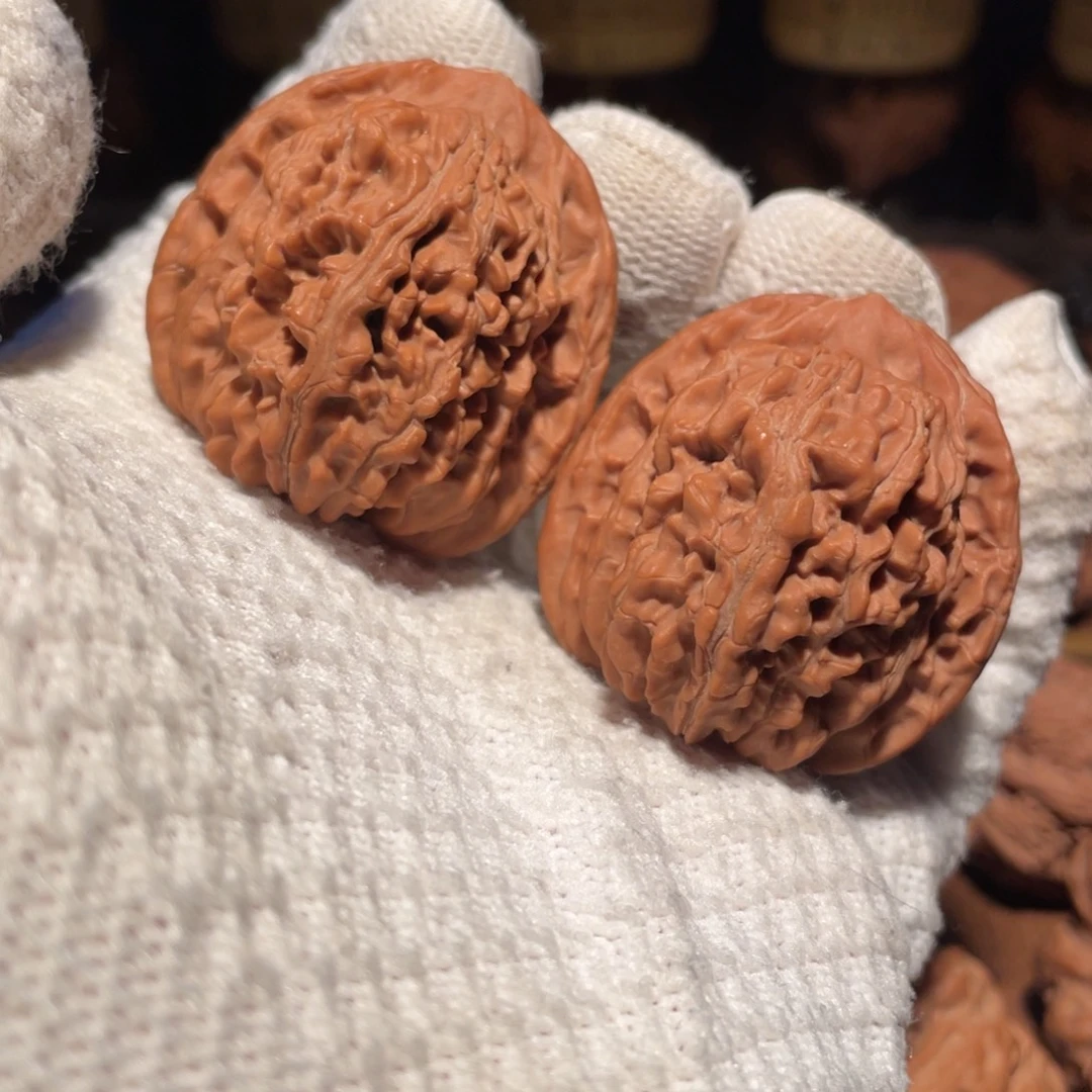 核桃39汉高楼llllll