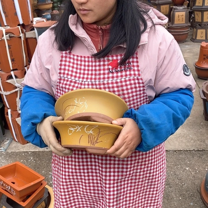 紫砂花盆盆栽花卉苗木种植