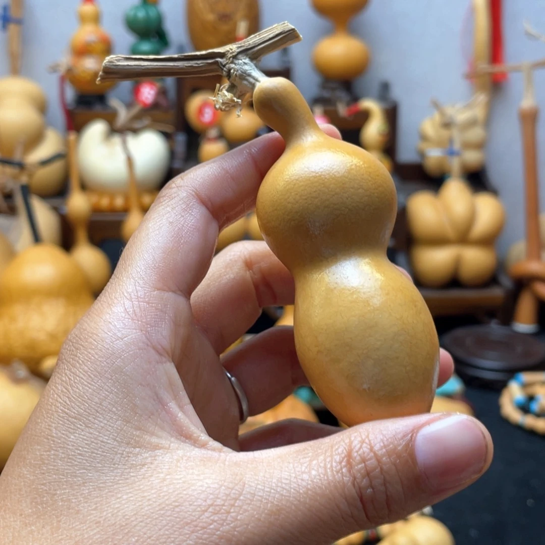 熊**.大自然的秘密第十一节课