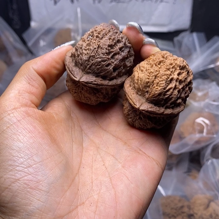 核桃云南野生铁核桃144号45mm