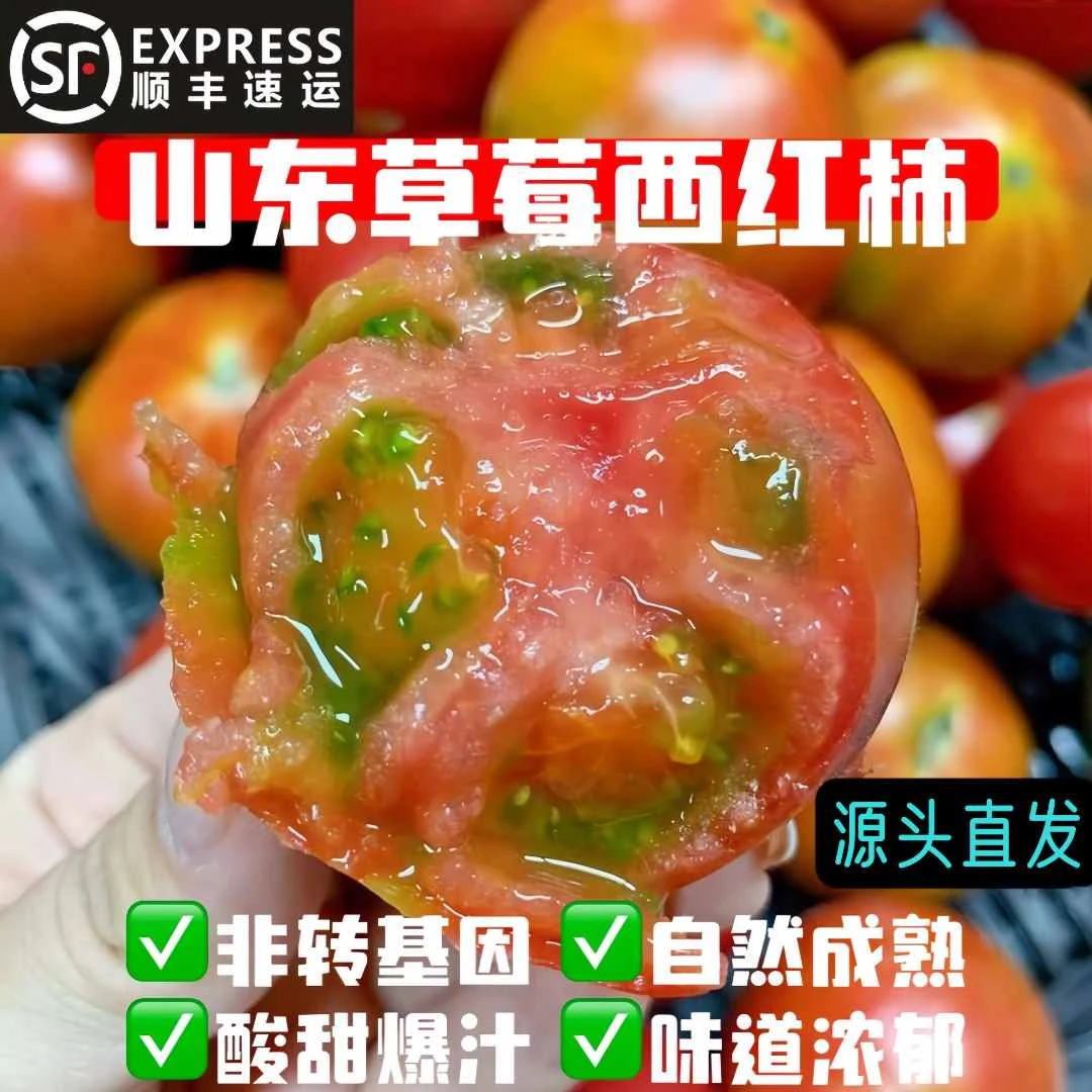 顺丰！山东碱地草莓柿子新鲜有味水果铁皮番茄当季绿腚整箱西红柿