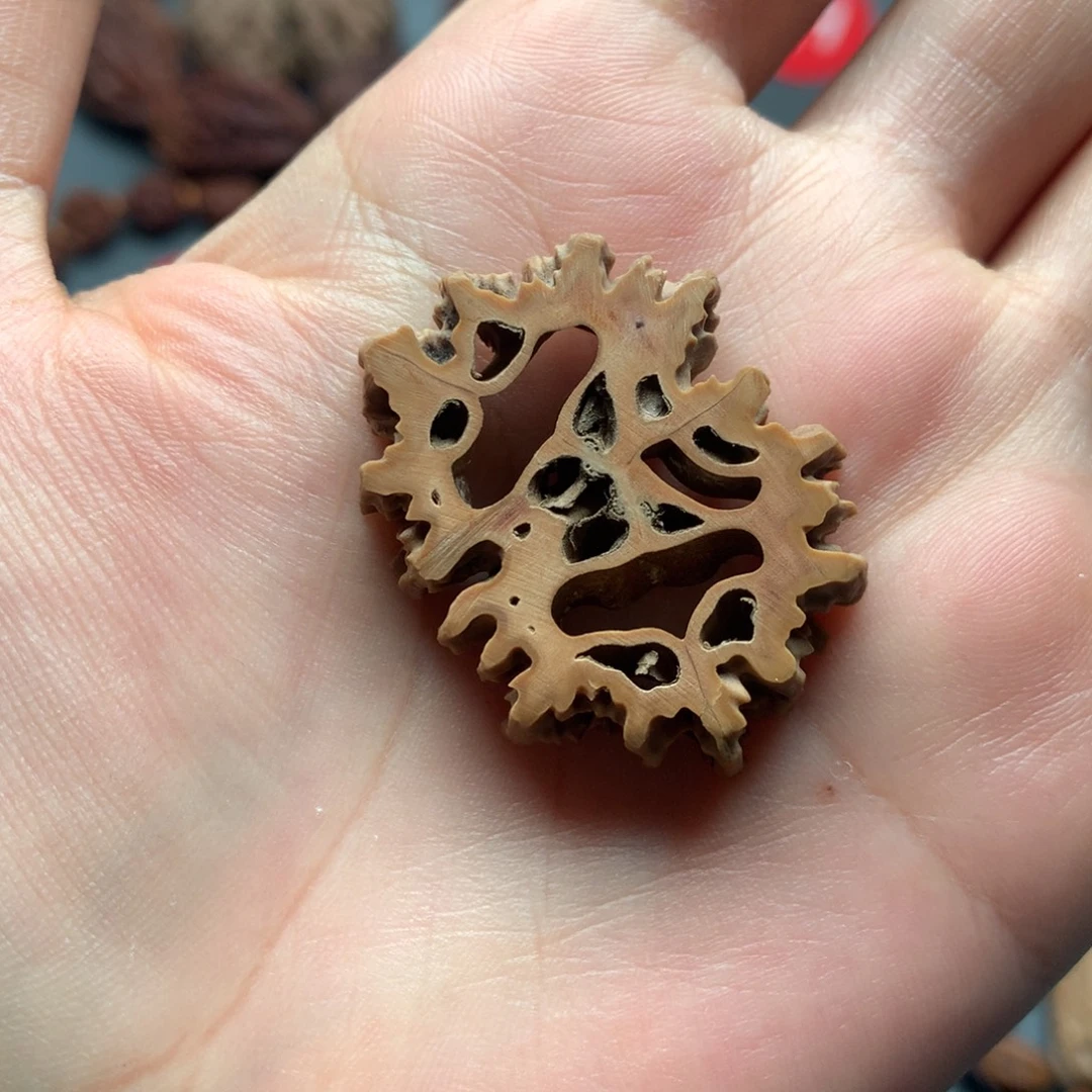 核桃2东北秋子切片