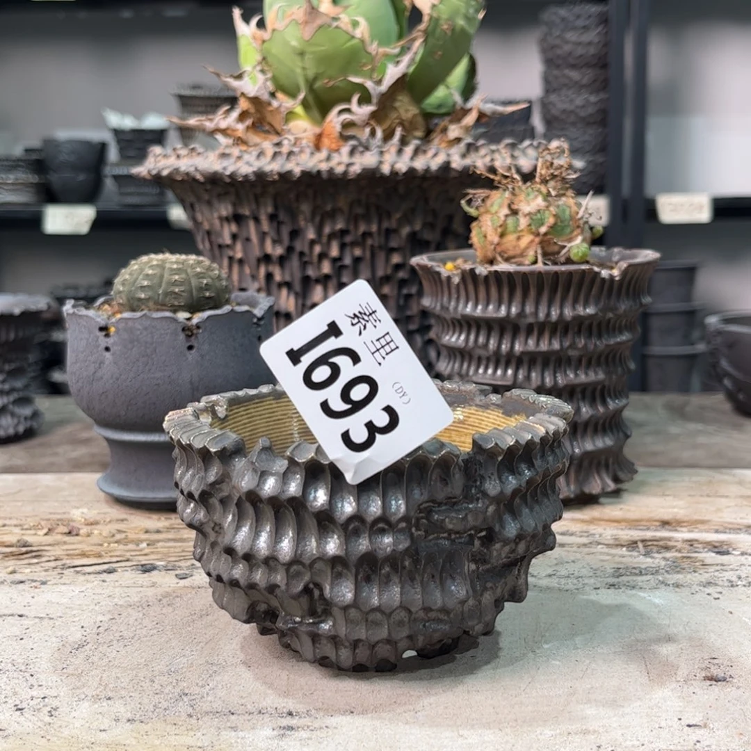 陶内口9.5高6.5景德镇