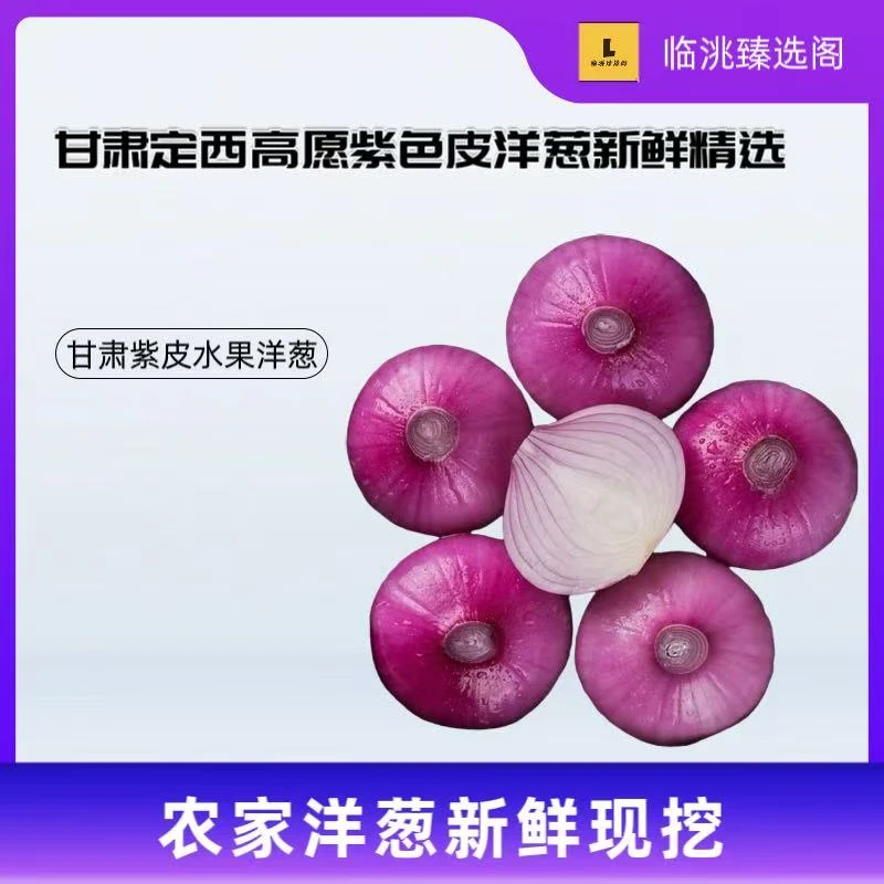 甘肃定西高原紫皮洋葱新鲜精选产地水果直发生吃炒菜专用