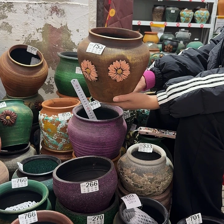 金色坛子753高度20