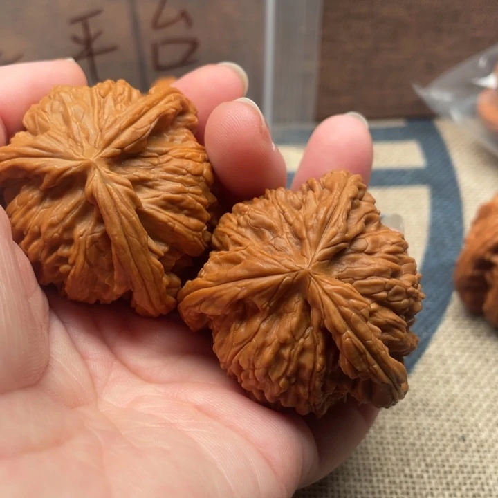 -***到核桃白狮子42核桃