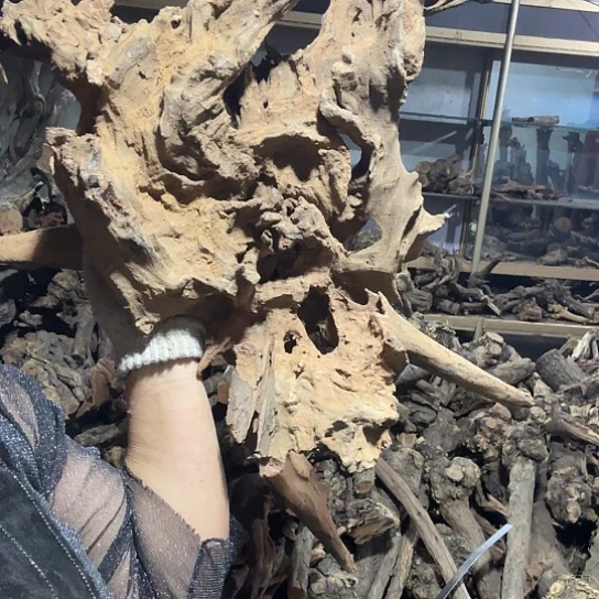 香榧木J****邦火琉璃的故事是毛料