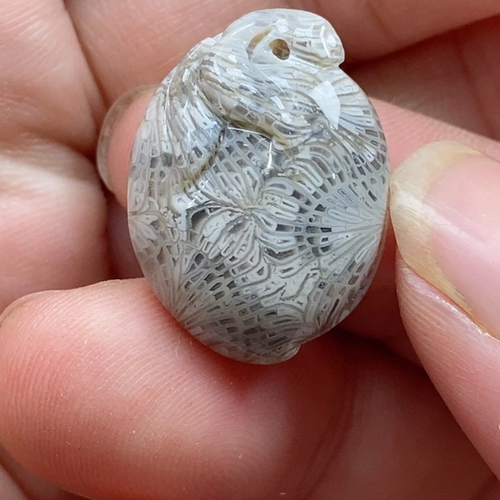 颈饰未镶嵌硅化珊瑚（珊瑚玉）小