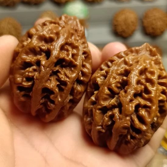 文玩核桃吊坠大楸子核桃2号