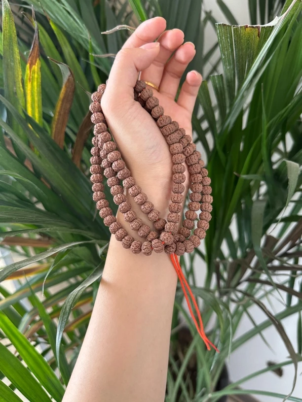 【老树王】黄金甲 长串 体验款