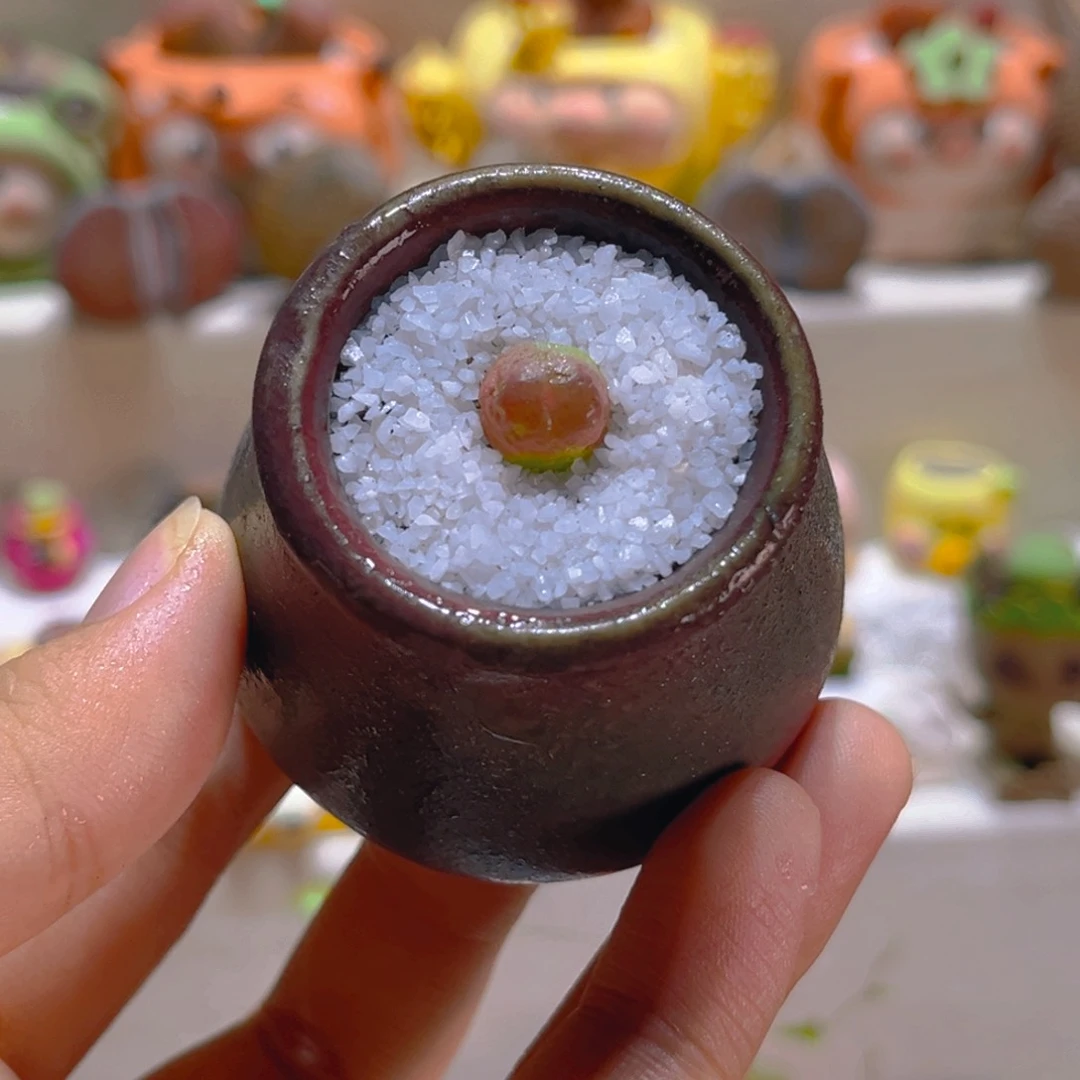 033拉登1厘米带盆带土