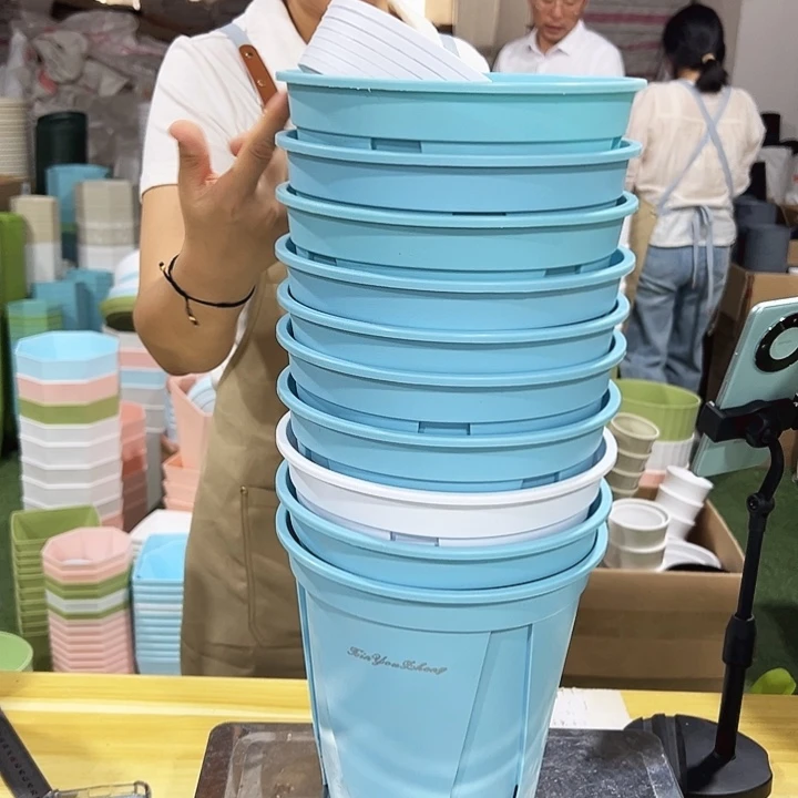 青山正品口21高21混色带托10只