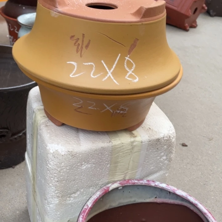 周深周深周深周深周深