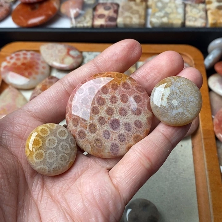 硅化玉颈饰未镶嵌1**M