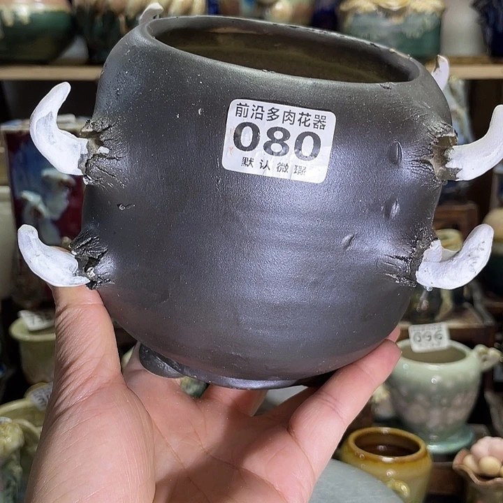 狼盆内口径9高度12