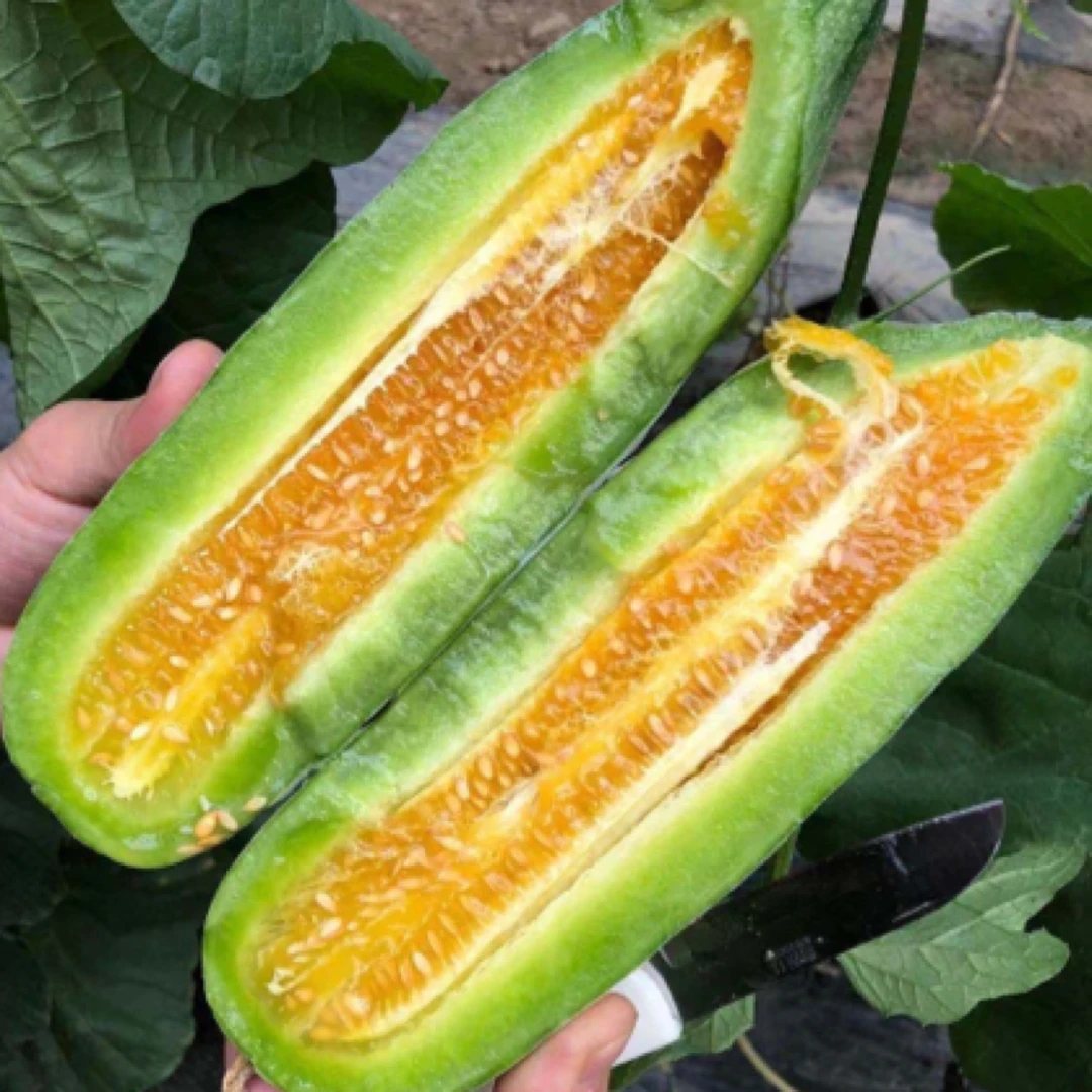 11.8一袋4斤脆甜羊角蜜（甜瓜）