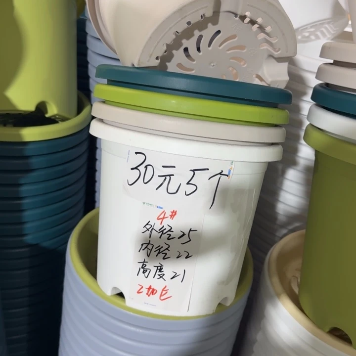 四季4#口径25白色5个无托