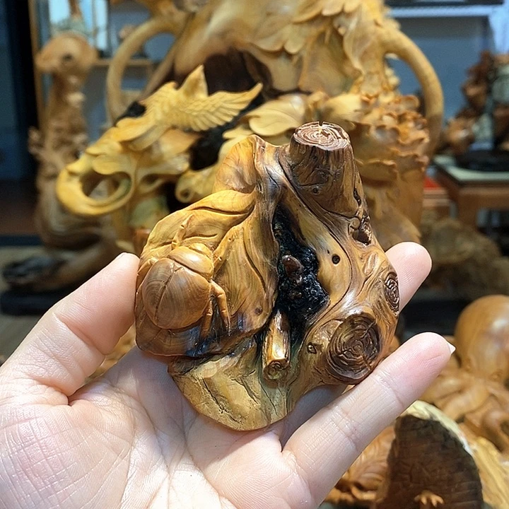 柏木（崖柏）男***怀太行崖柏