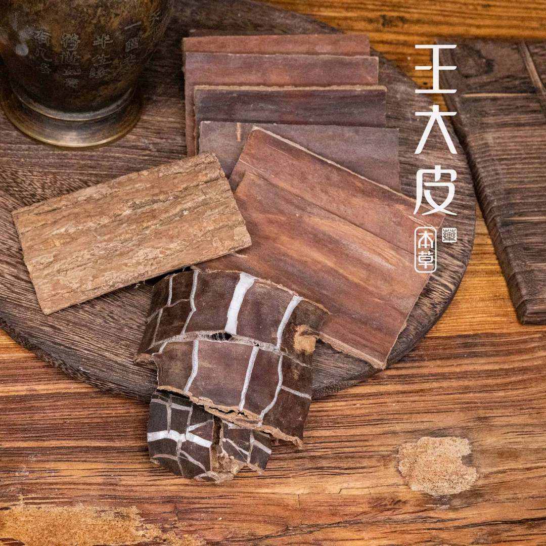 生杜仲 道地高品质经方经典优质正宗原产地直邮新鲜