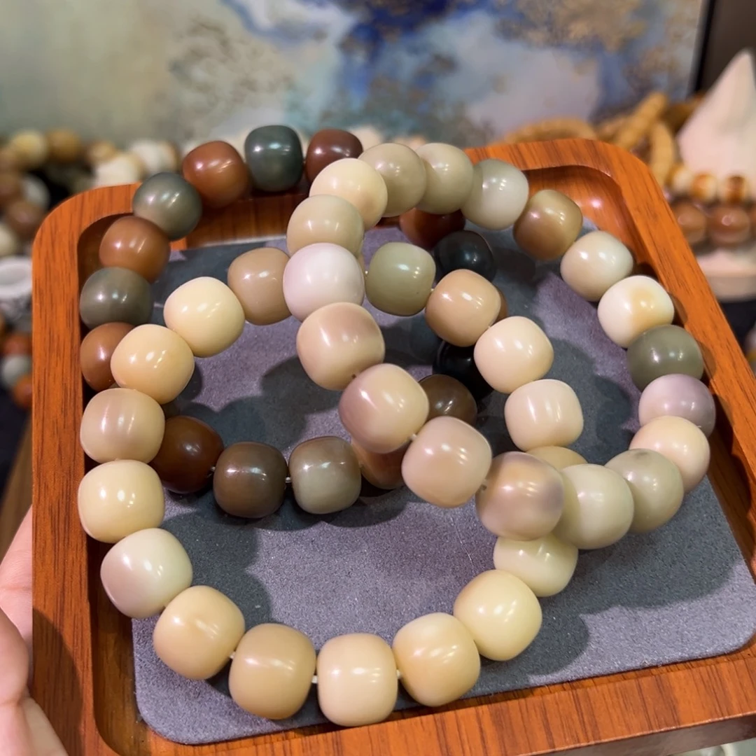 吊坠菩提根/象牙果原色桶卡14