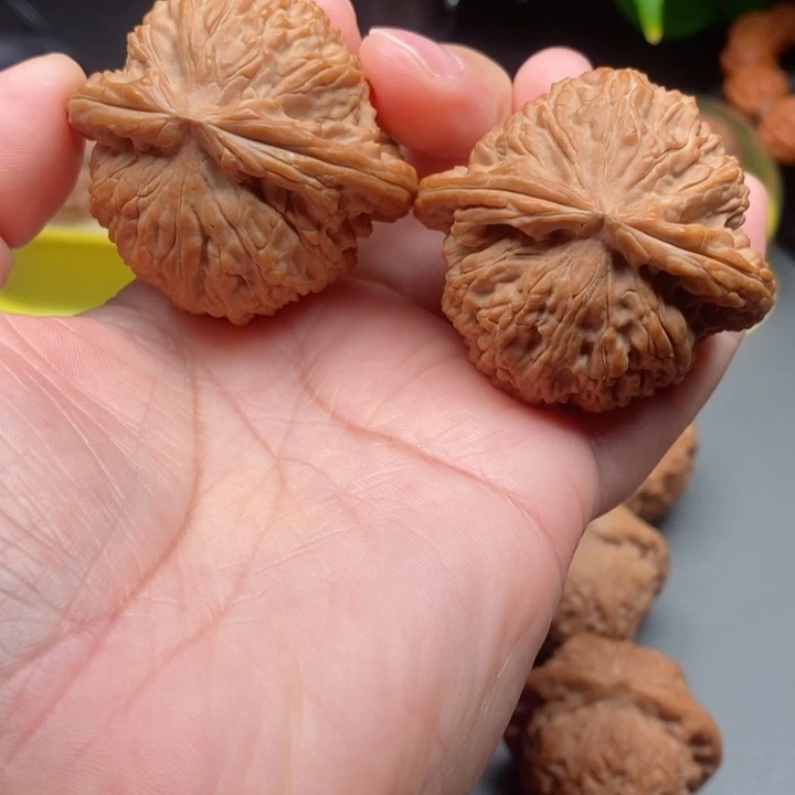 把件文玩核桃康****）白狮子