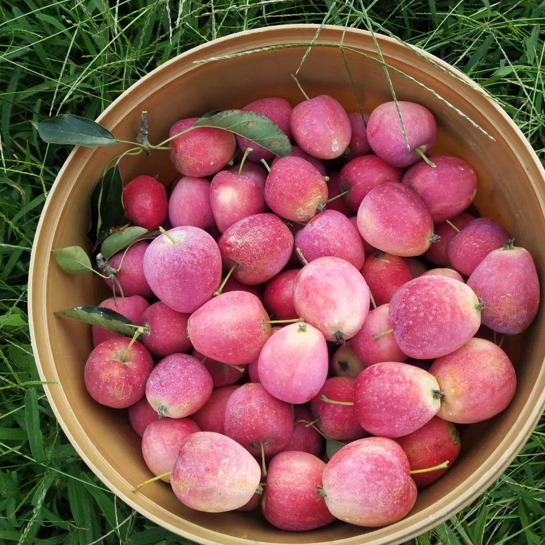 鸡心果农家自种现采现发脆甜微酸海棠果非沙果