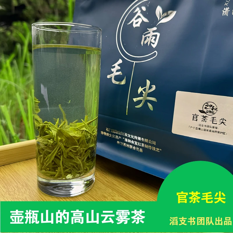 【滔支书团队推荐】石门官茶毛尖家庭用茶味甘长发泡久云雾好茶