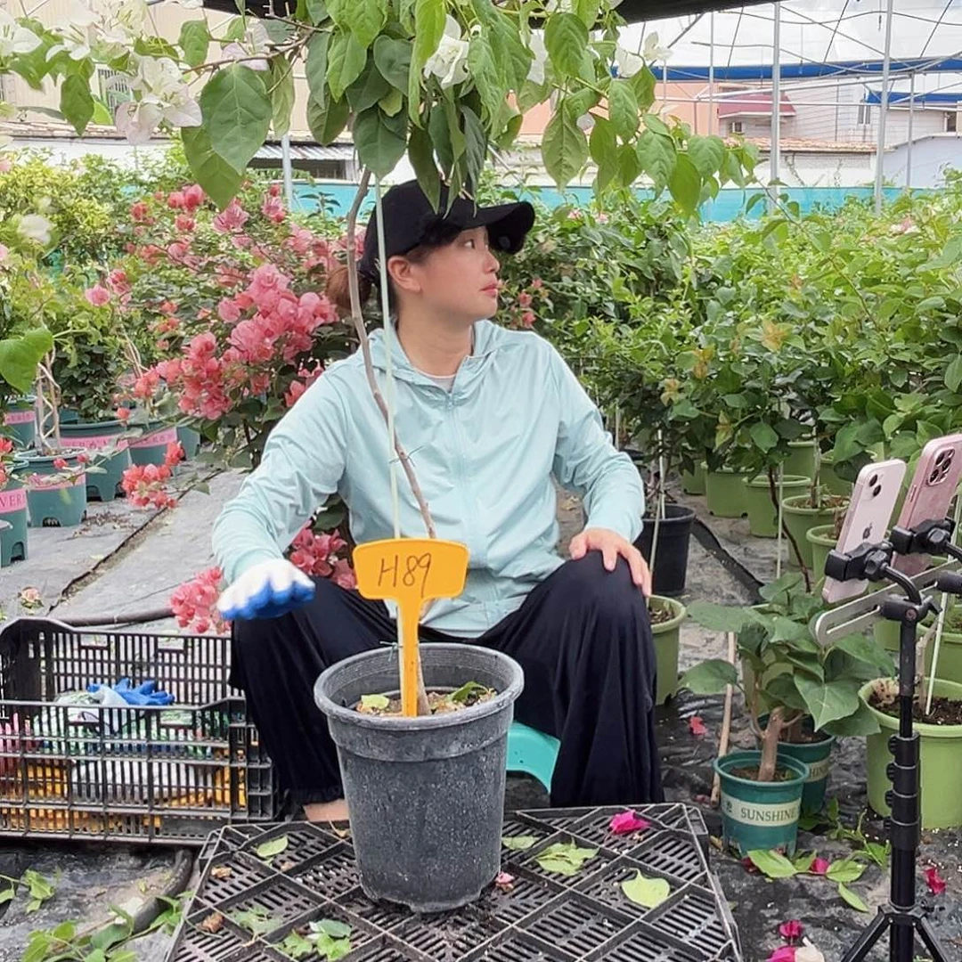 醉***尘大部分花苞少量开放H89口红